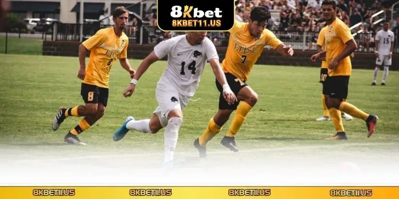 Chiến thuật đặt cược chấp cực lời