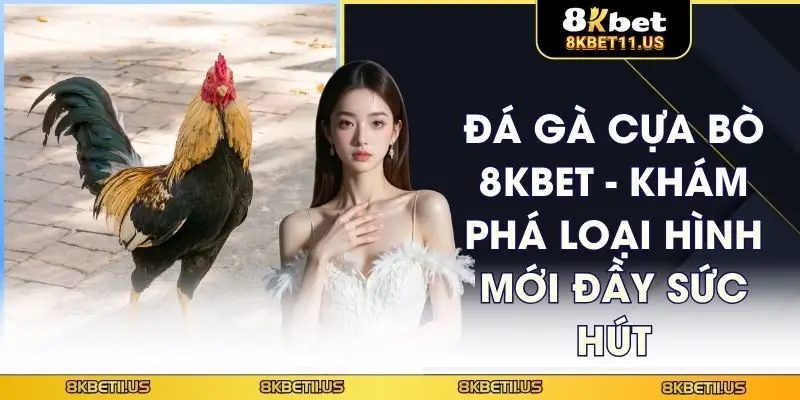 Đá gà cựa bò