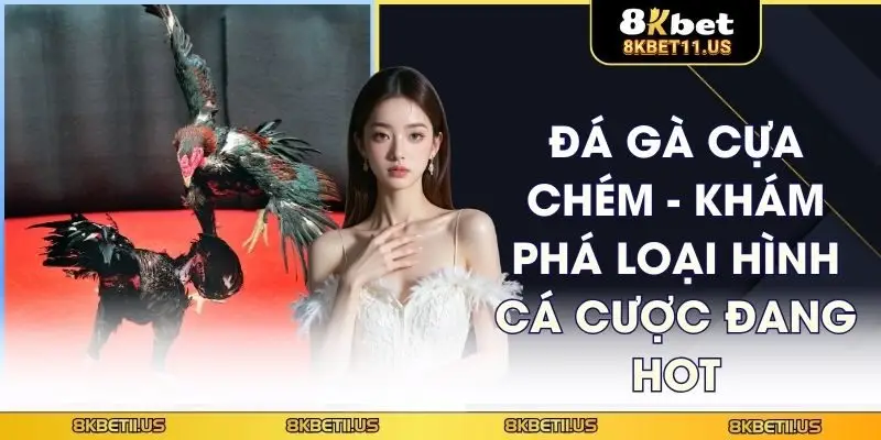Đá gà cựa chém