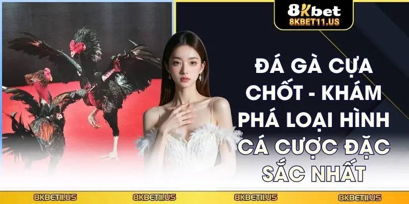 Đá gà cựa chốt