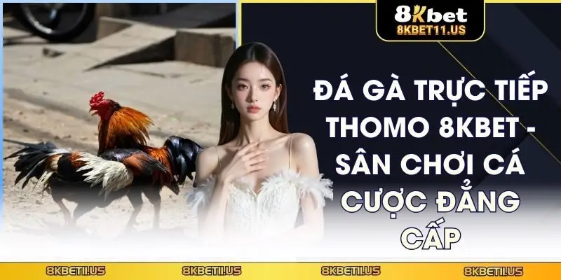 Đá gà trực tiếp Thomo