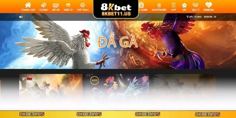 Giải đáp thắc mắc về giao dịch thường gặp